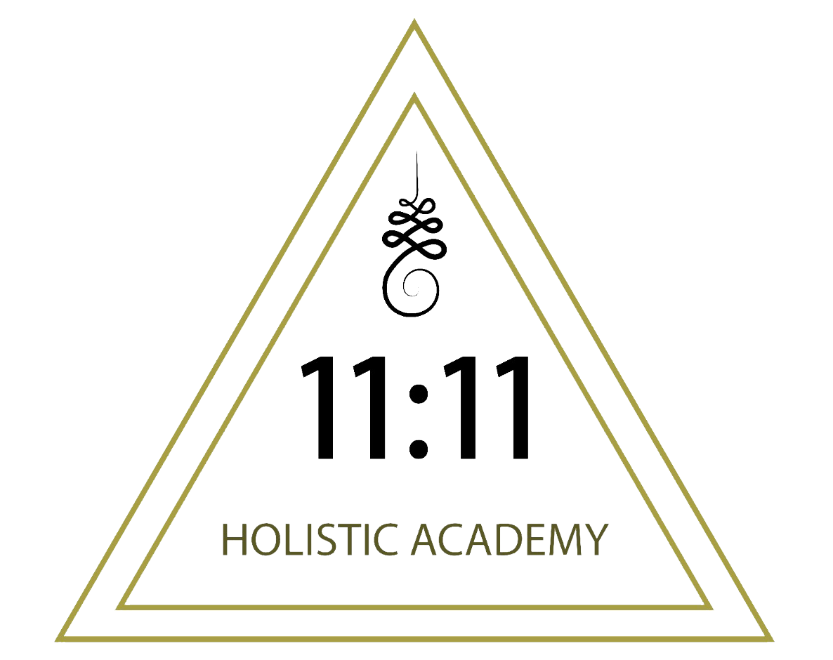 1111holisticacademy.com